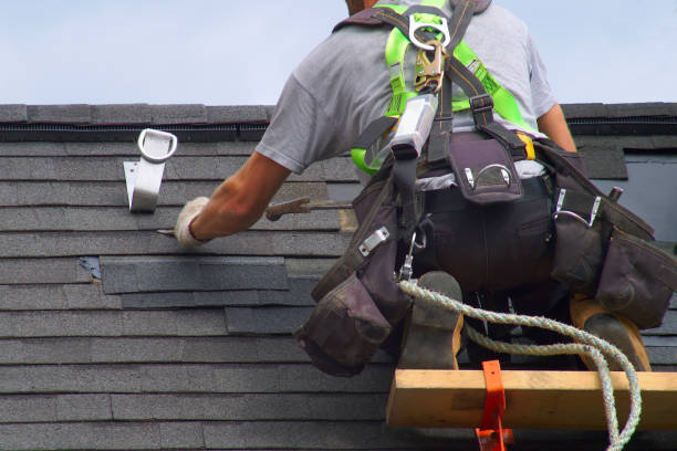 Best Roof Repair Services  in Indian River, MI