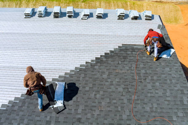 Best Metal Roofing Contractor  in Indian River, MI