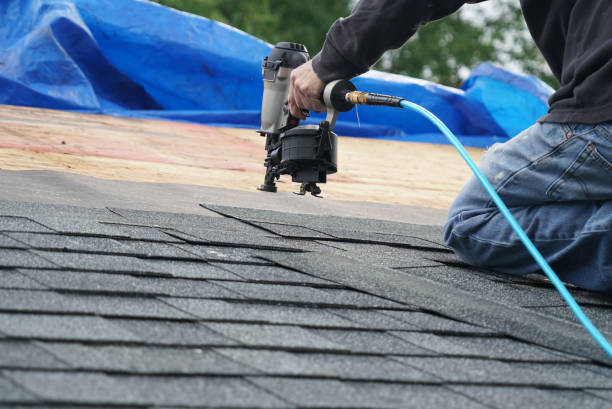 Best Residential Roof Replacement  in Indian River, MI